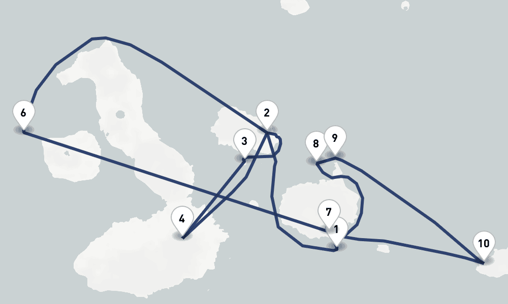7 days, round-trip Galapagos Islands 8日間