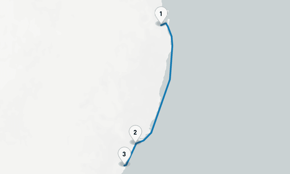 4 days, one-way from Brisbane to Sydney 5日間