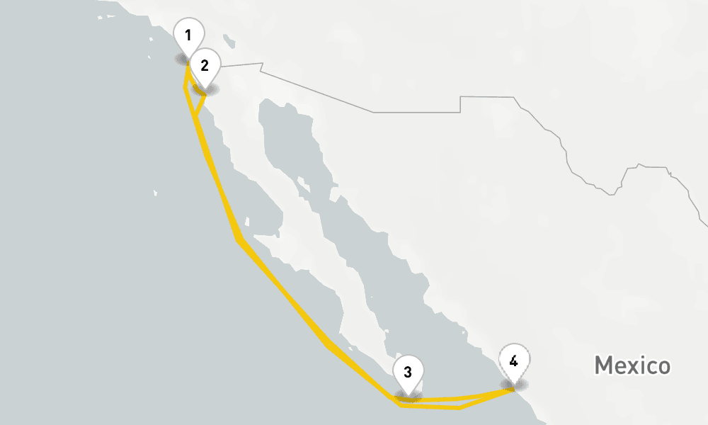 7 days, round-trip Ensenada, Cabo Mazatlan Cruise 8日間