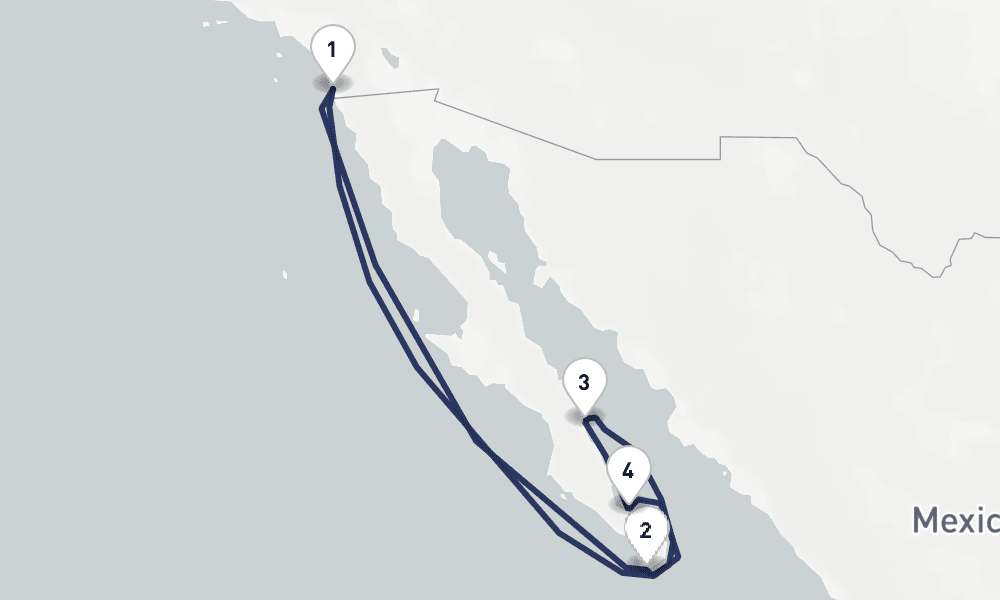 7 days, round-trip JoCo Cruise 8日間