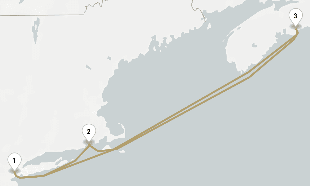 7 days, round-trip 250th Independence Day Celebration 8日間