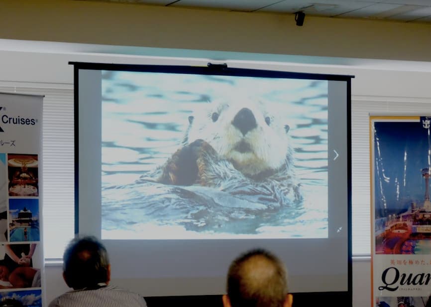 野生動物写真家、安藤誠氏が語る「氷河だけではないアラスカクルーズの魅力」