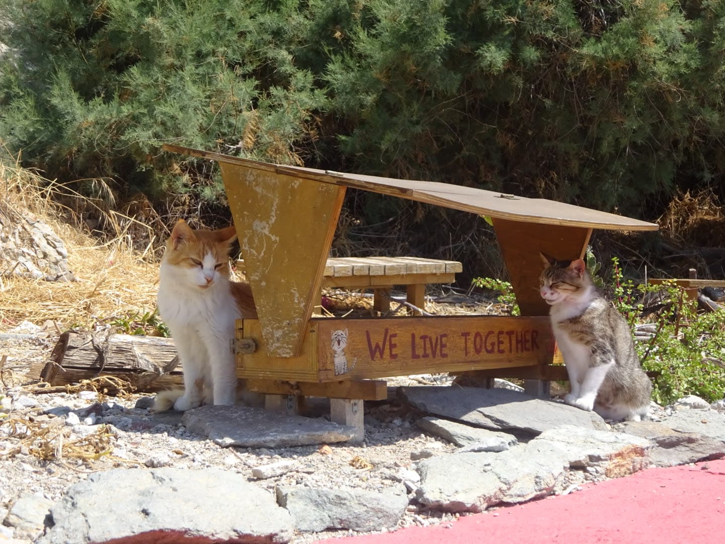 傷口に塩を塗る