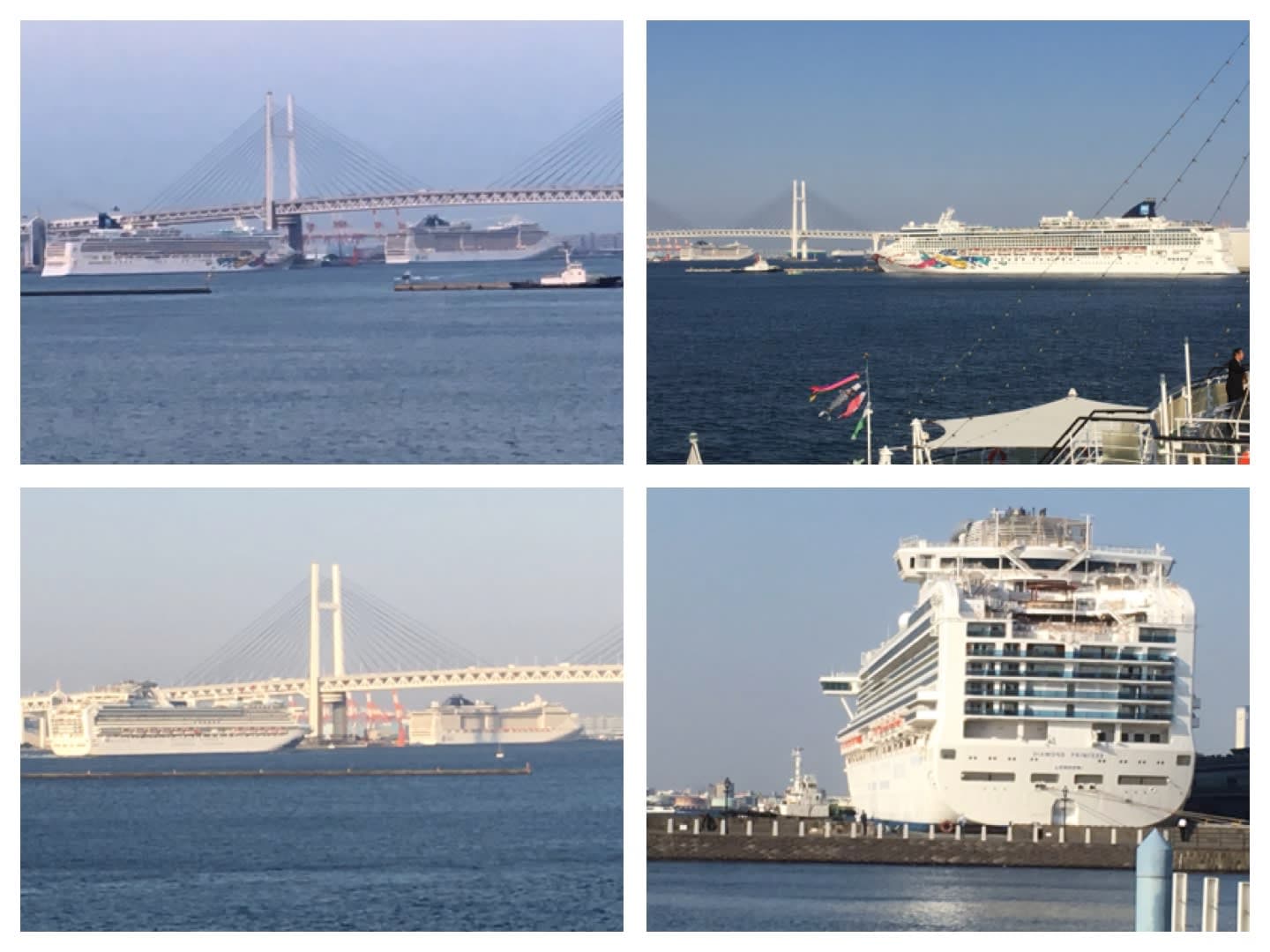 2019年GWクルーズ選び（１）今年は港から眺めていただけ。来年こそは。