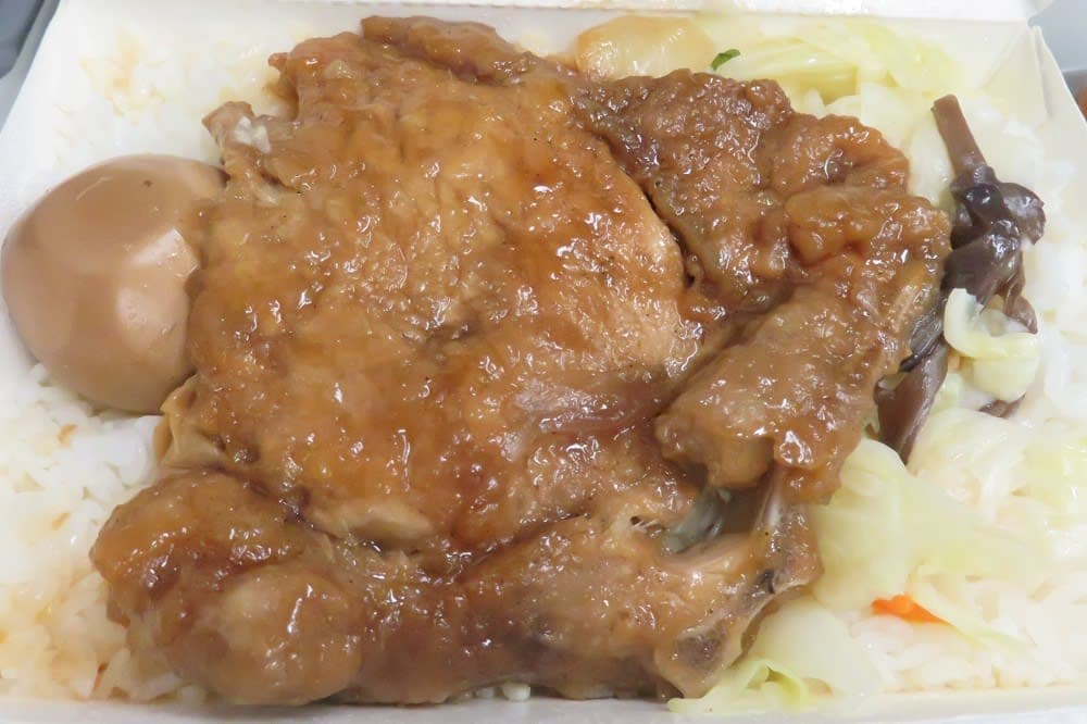 高鐵(台湾新幹線)で台中へ。車内で駅弁が列車旅の醍醐味ョ♪～台湾女子旅＆ダイヤモンドプリンセスで初クルーズー2018.12月・本編4-2