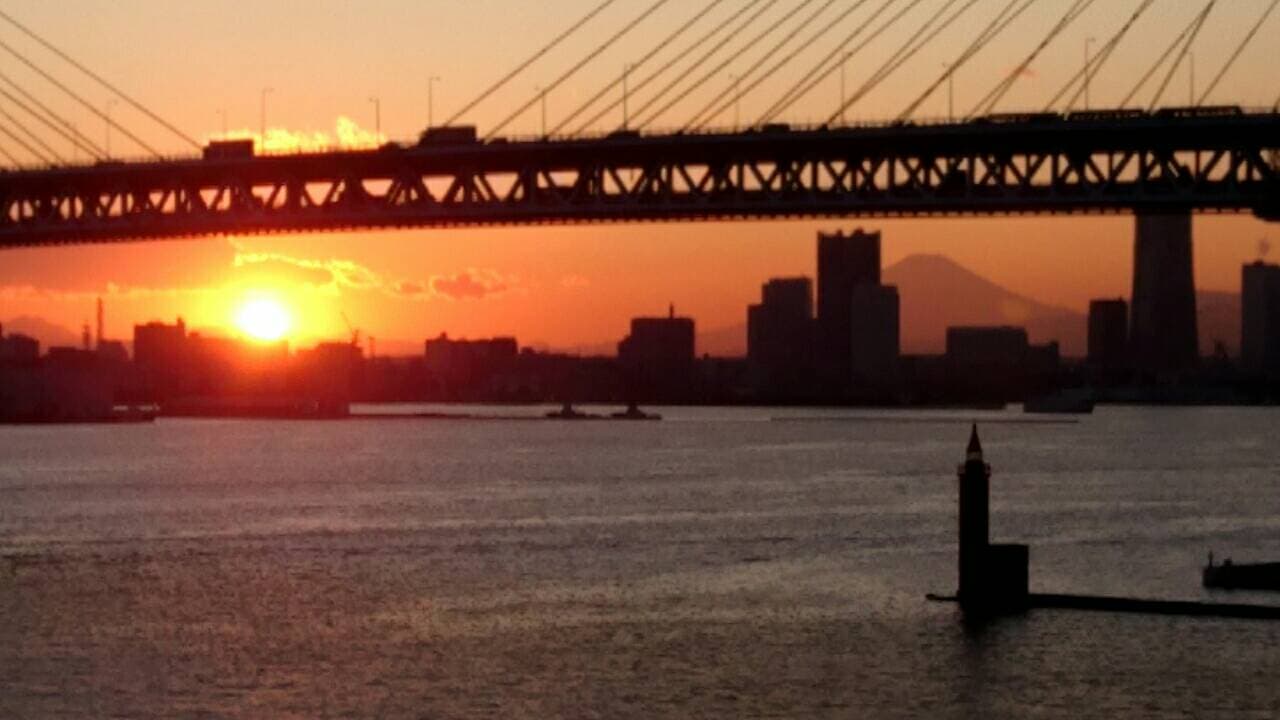 渦中のダイヤモンドプリンセス から（2月12日 18:00時点）