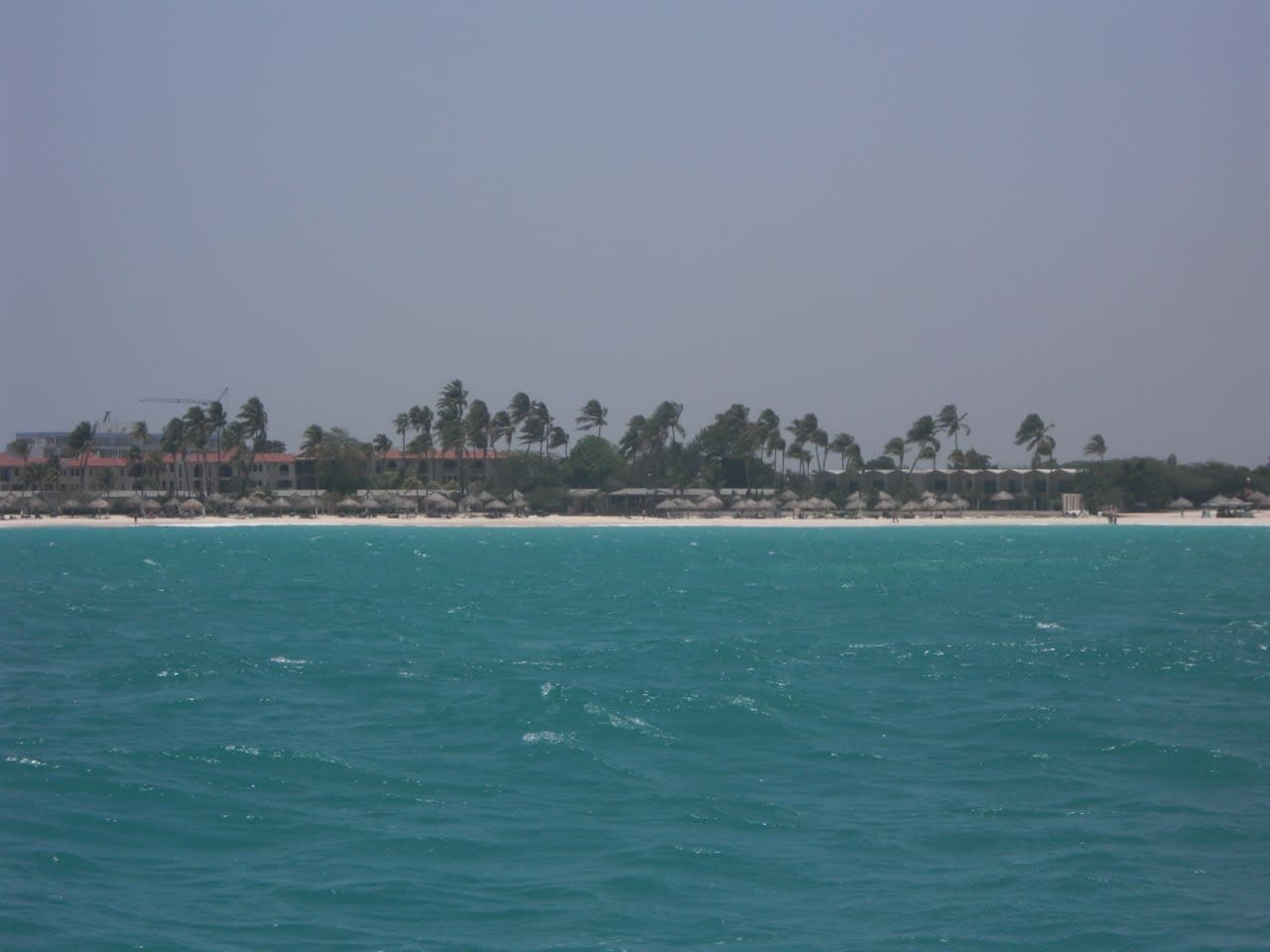 【南カリブ海クルーズ＆ワシントンD.C.＆NY】アドベンチャー・オブ・ザ・シーズ　オランヘスタード（アルバ）　沈没船ダイビング　7日目：前半