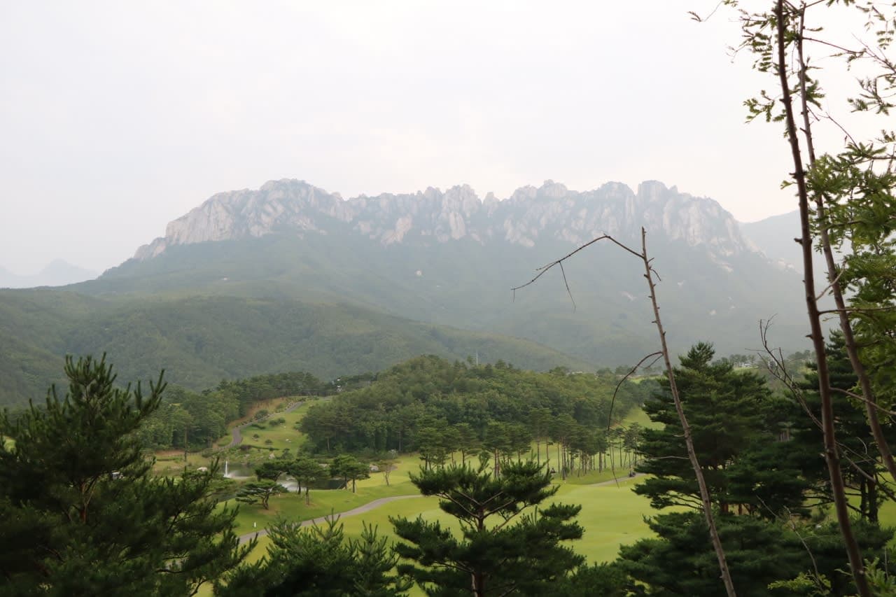 コスタ・ネオロマンチカで巡る日本海周遊クルーズ／④韓国・束草編