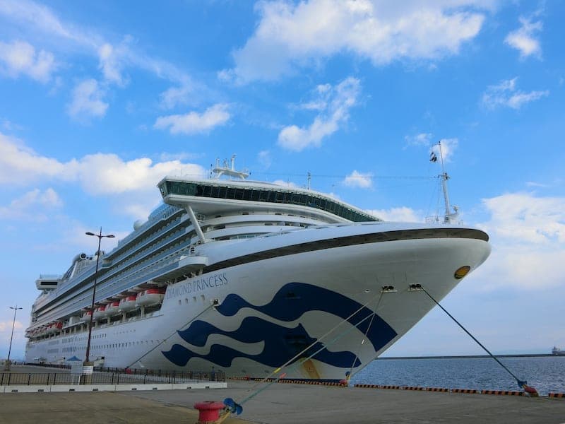 ダイヤモンドプリンセス 　　目次ページ：１９年２月１４出発