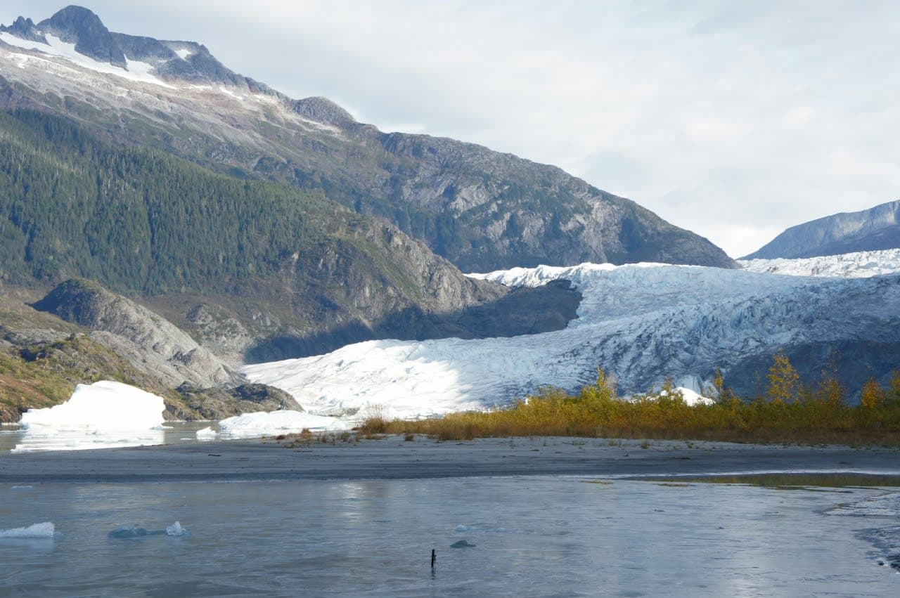 ホーランドアメリカ　オーステルダム号　アラスカクルーズ～4日目～ジュノー　メンデンホール氷河