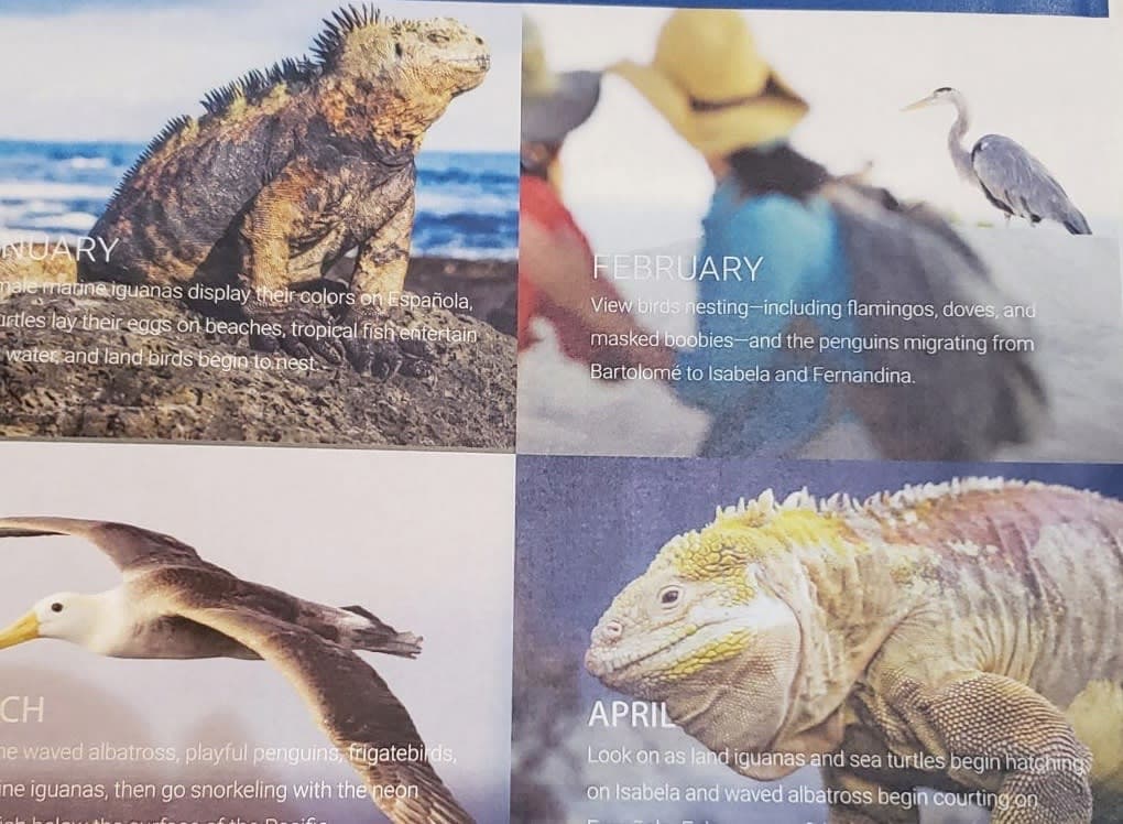 ガラパゴスクルーズ突然の進化の顛末―上級クルーズ体験へ挑戦