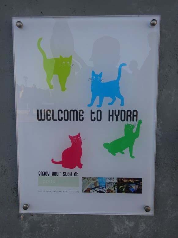 岩合さんになれるイドラ島　