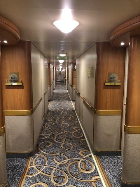 オドロキ　モモノキ　センジョウキ