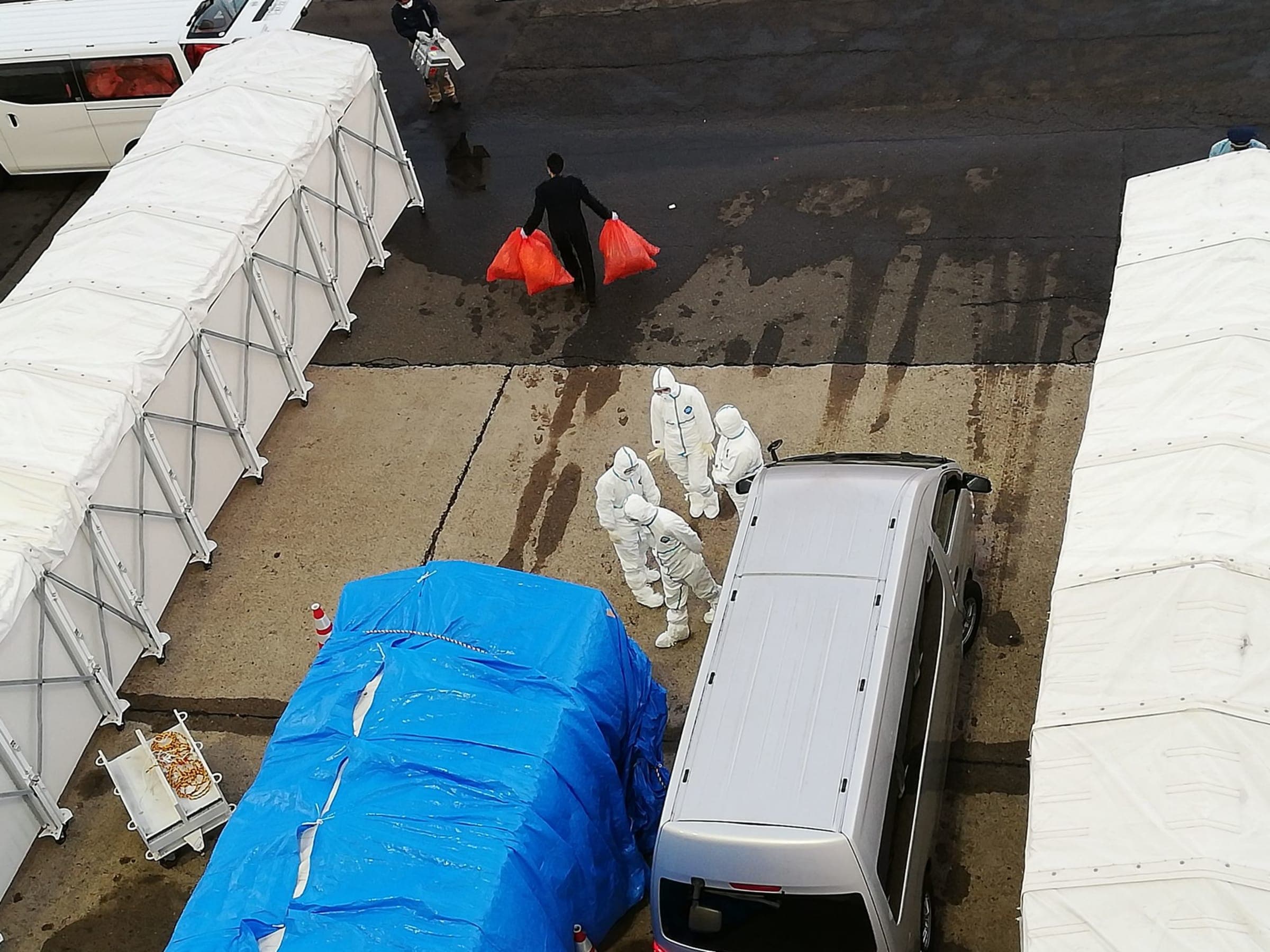 15 nights / 16 days, round-trip Southeast Asia Lunar New Year