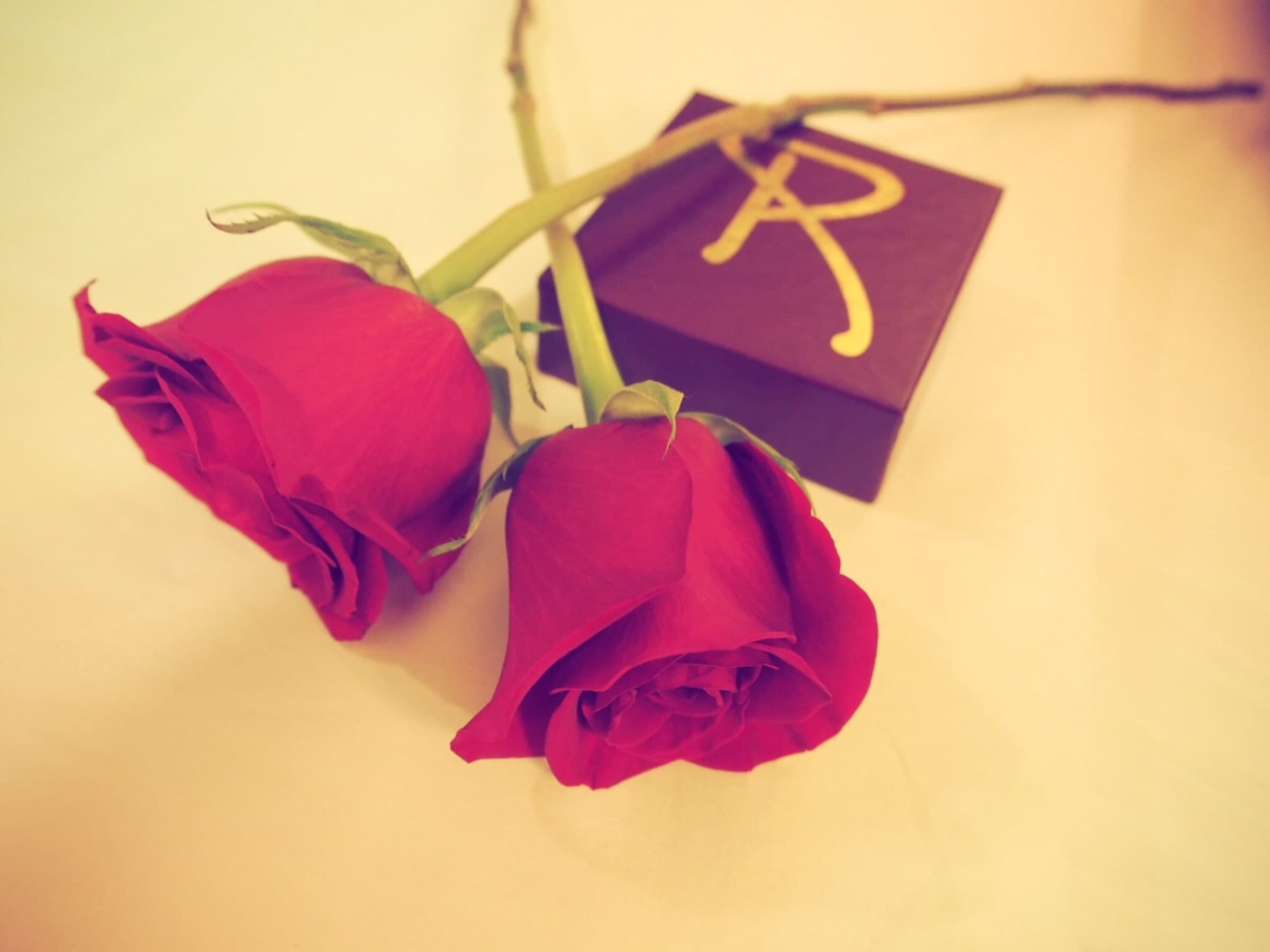 4 Night Bahamas (Port Canaveral Roundtrip)