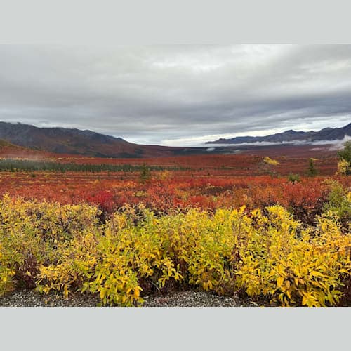 紅葉がパーフェクトタイミング