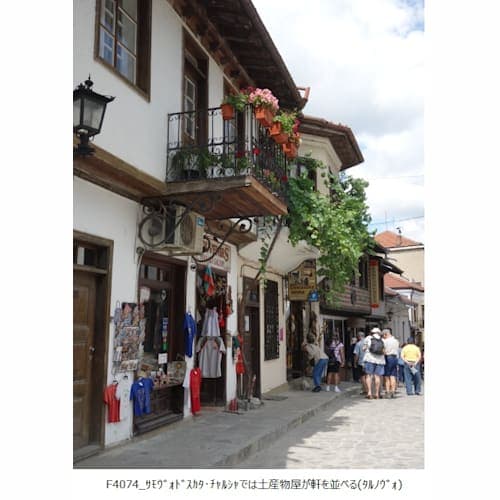 フォトギャラリー