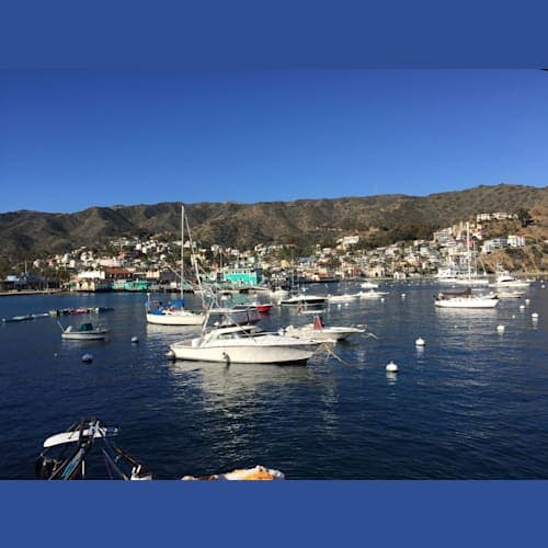 サンタ・カタリナ島アバロン