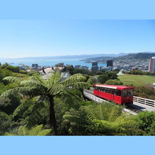 ケーブルカーに乗って標高122mの山頂からウエリントンの町を眺める。
