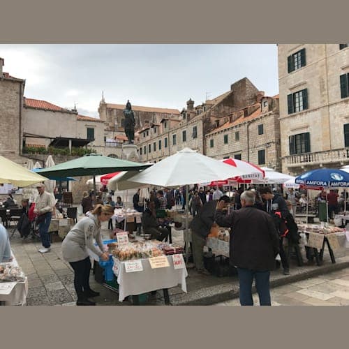 フォトギャラリー