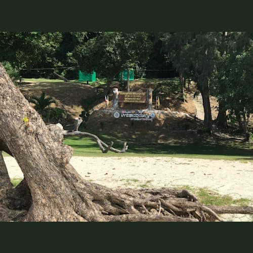 フォトギャラリー