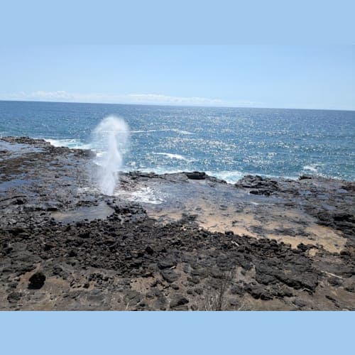 フォトギャラリー