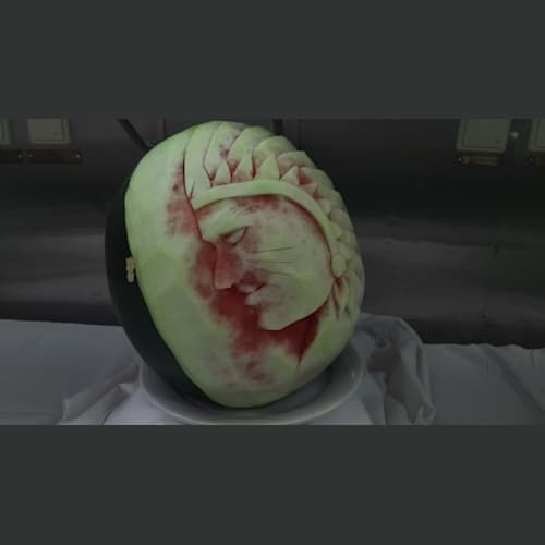 フォトギャラリー