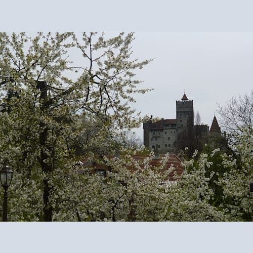 ブカレストからこれもシナイ城の後で行ったブラン城。ドラキュラのモデルといわれる王の城ですが、ここも花がきれいでした。