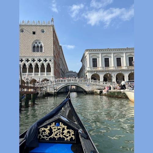 フォトギャラリー