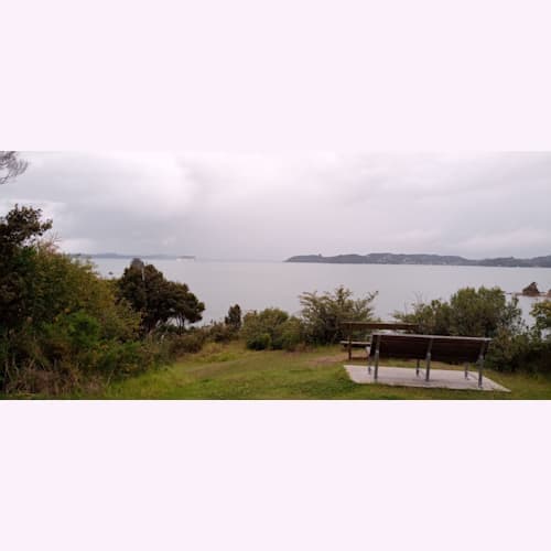 パイヒアは3回目ぐらいなので、今回は近くを散策のみ。歩いて15分ぐらいの展望台から湾を眺めました。
写真は撮りませんでしたが、野生の枇杷がなっていて、おいしくいただきました。