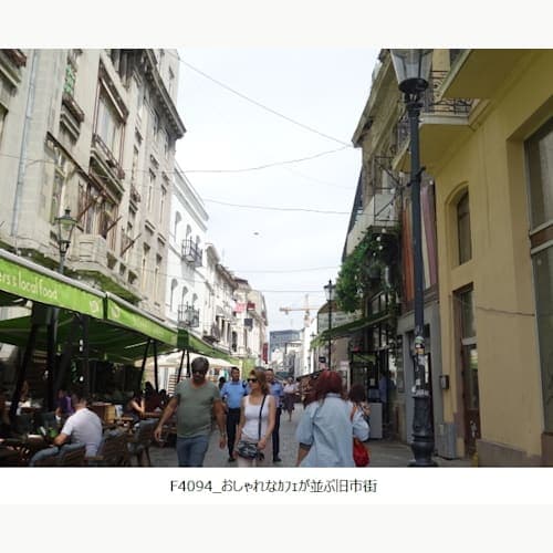 フォトギャラリー