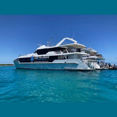 ポンツーンというんでしょうか?ここにボートで移動してシュノーケリングをしました。
あんなにたくさんの魚やウミガメを見たのは初めてで、さすがグレートバリアリーフ!!と大感激でした。