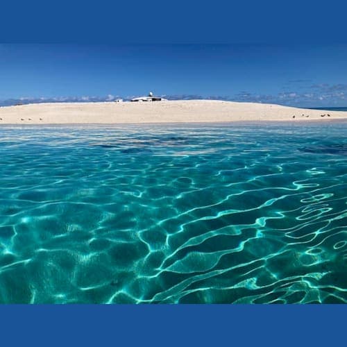 フォトギャラリー