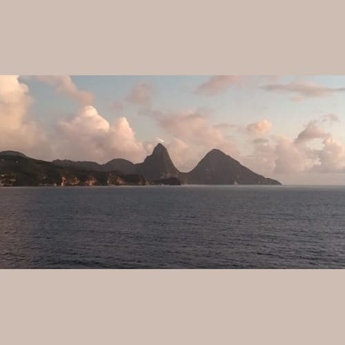 フォトギャラリー