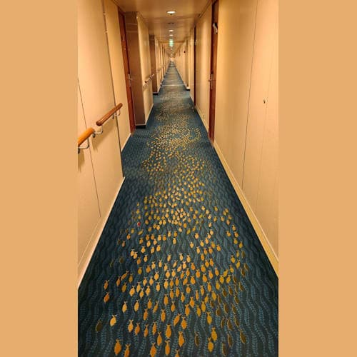 フォトギャラリー