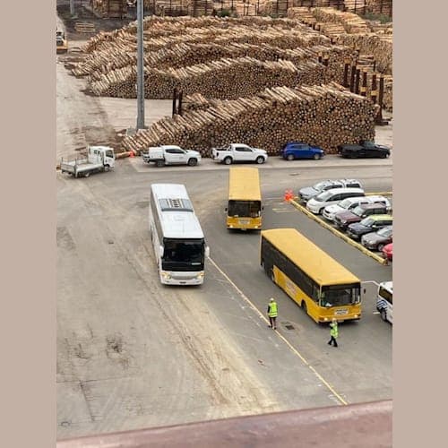 ピクトン港から見えた大量の材木と船の送迎バス