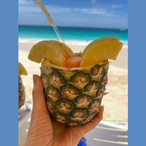 フォトギャラリー