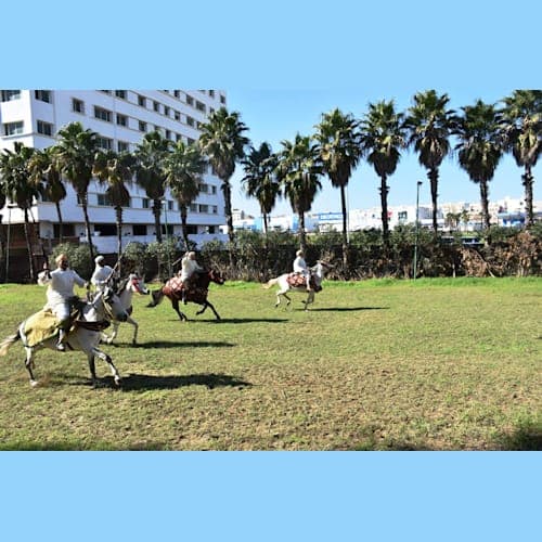 フォトギャラリー