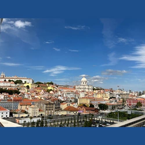 フォトギャラリー