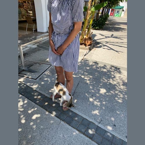 フォトギャラリー