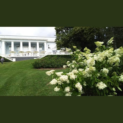 Porvoo ランチをとったマナーハウス「haikko」