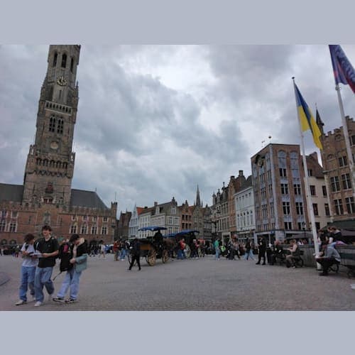 フォトギャラリー