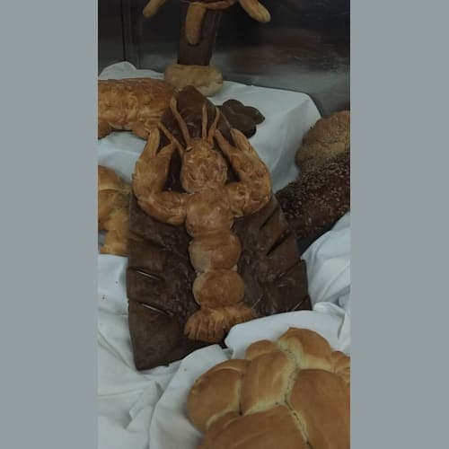 フォトギャラリー