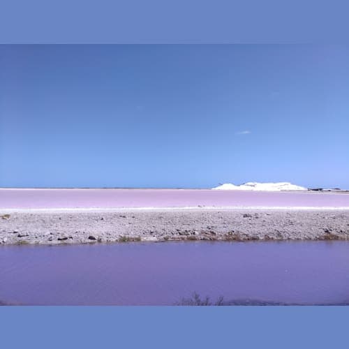 ピンクレイク!おおおおっ!ってなりました笑