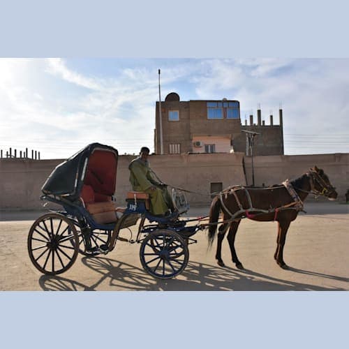 チップチップとうるさかった神殿の行き帰りに乗った馬車です。