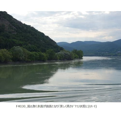 フォトギャラリー