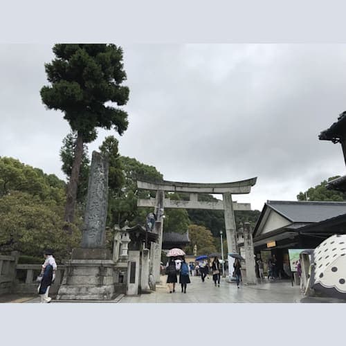 フォトギャラリー