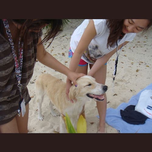 10日、ビーチには犬もいて、みんなに可愛がられていた