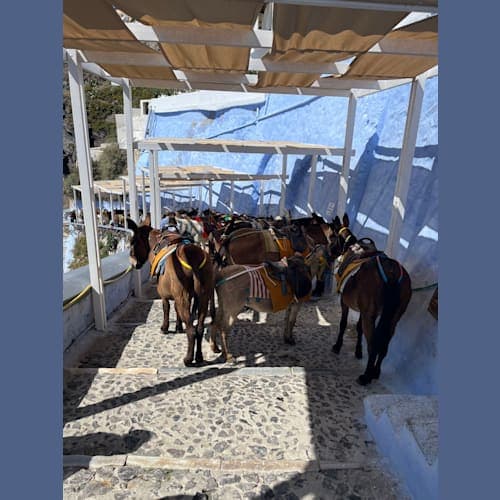 フォトギャラリー