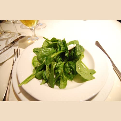 フォトギャラリー